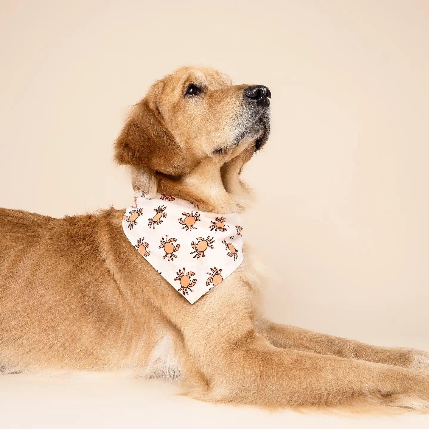 Crabs Bandana