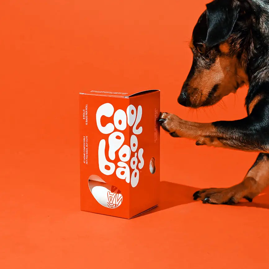 Cool Poo Bags – Thank You Bag