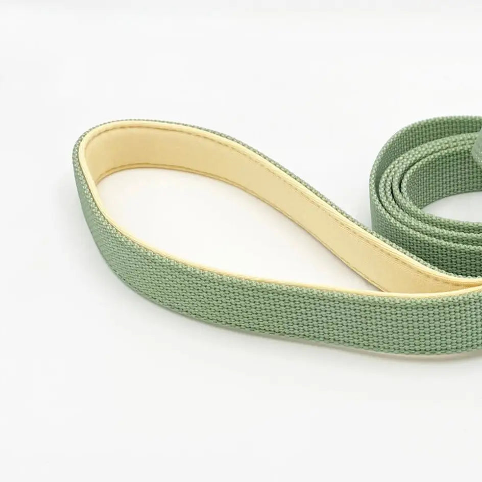 Barkin Sage Comfort Leash