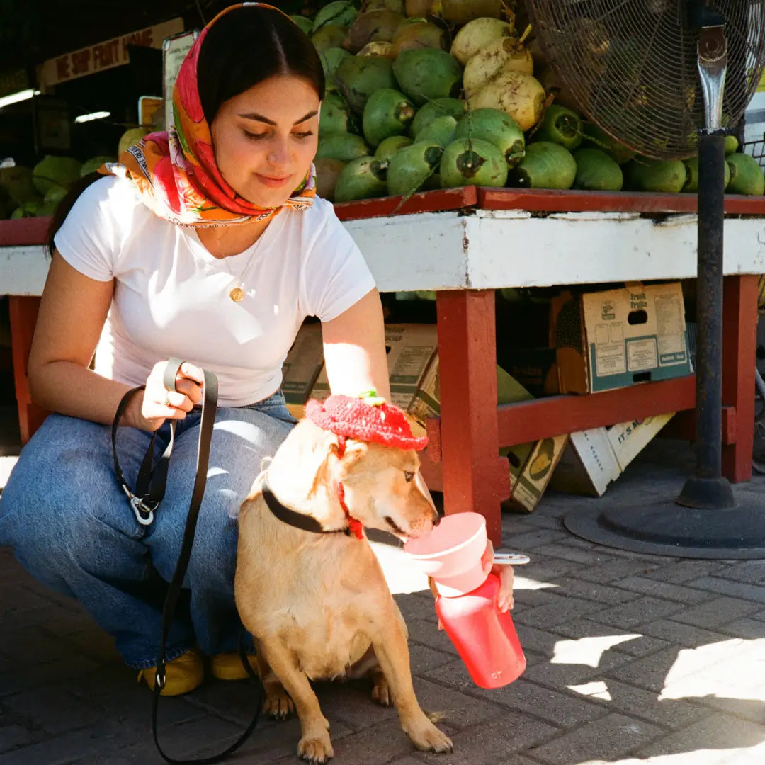 Dog Travel Water Bottle