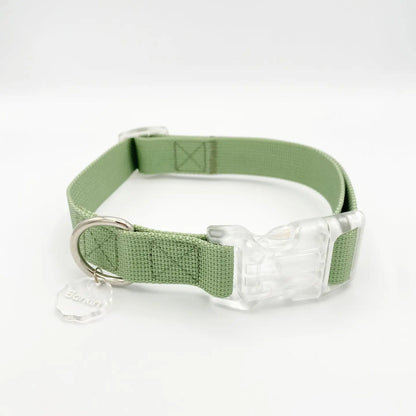Barkin Sage Buckle Collar