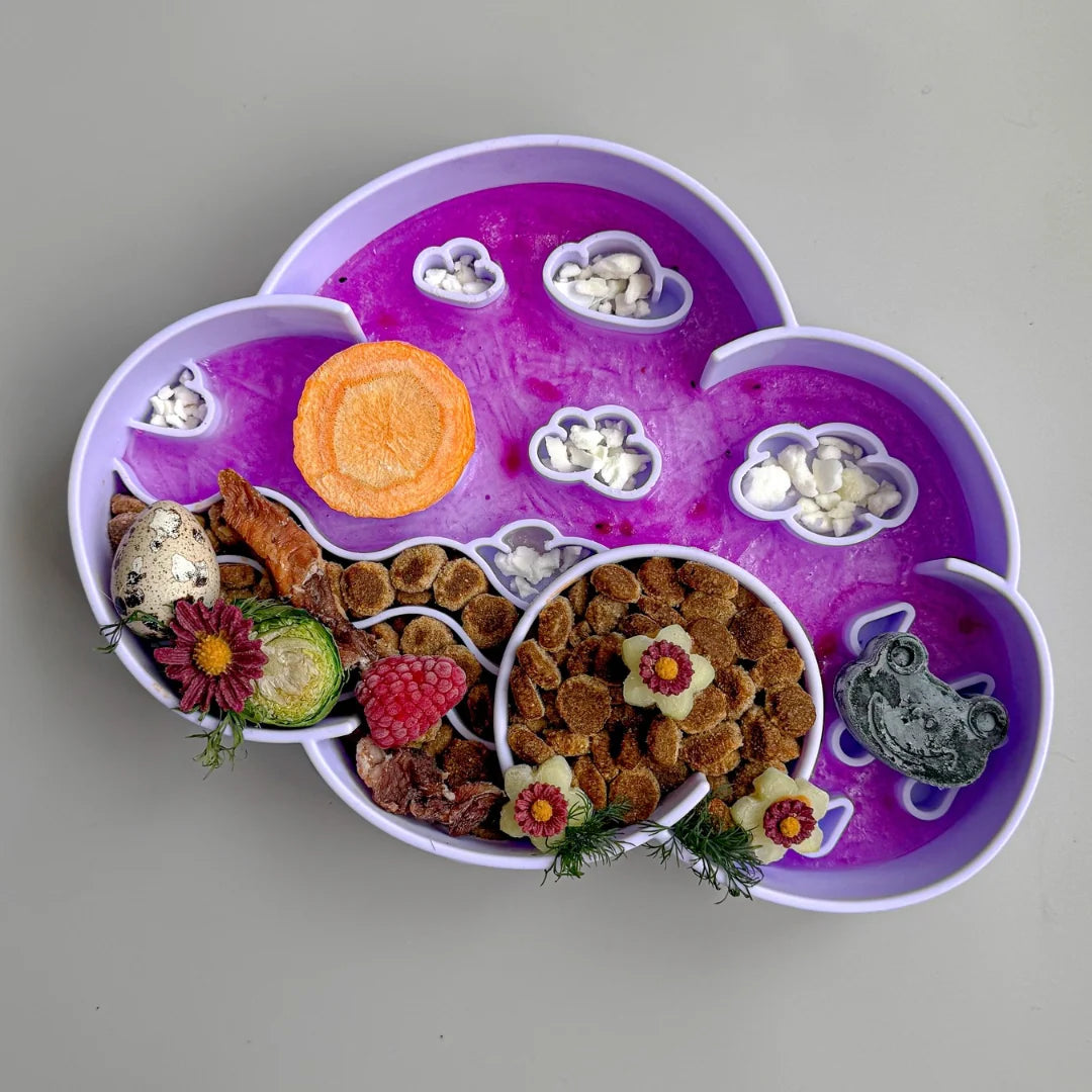Cloud Slow Feeder Bowl