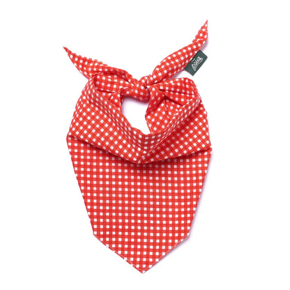 Red Gingham Bandana
