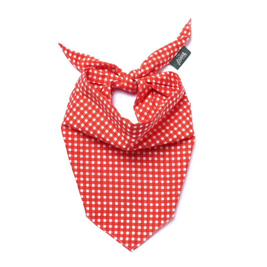Red Gingham Bandana