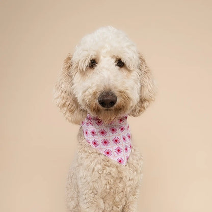 Poppy Pink Bandana