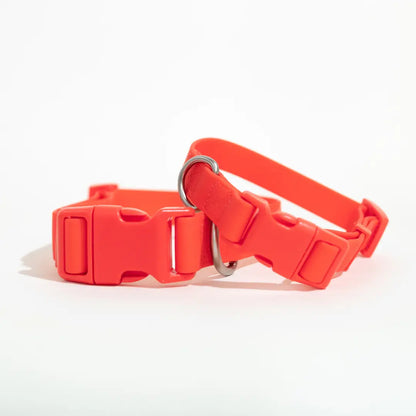 All Weather Dog Collar
