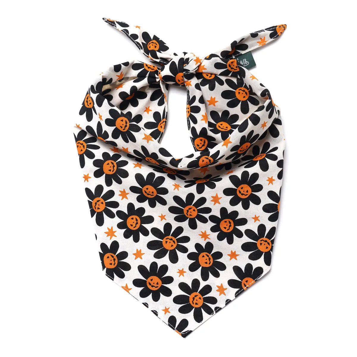 Pumpkin Petals Bandana