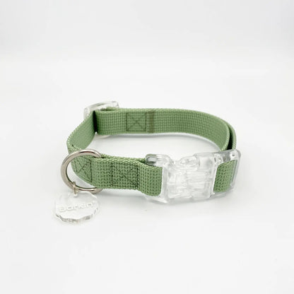 Barkin Sage Buckle Collar