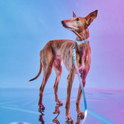 Wild One Collar – Holographic Lunar