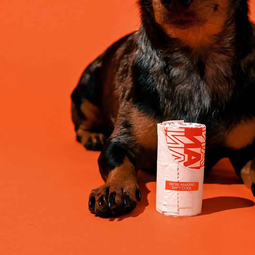 Cool Poo Bags – Thank You Bag