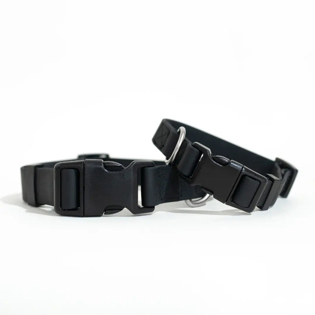All Weather Dog Collar