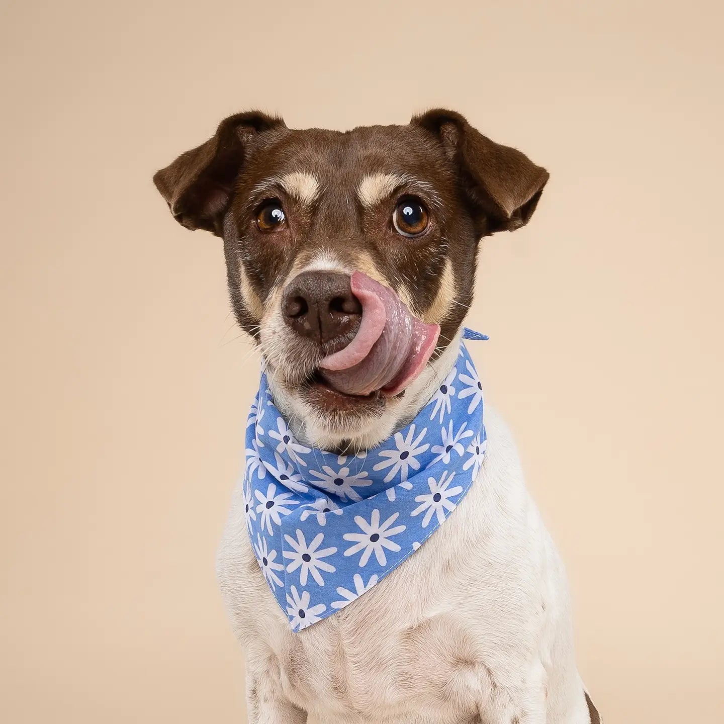 Lyla Flower Bandana