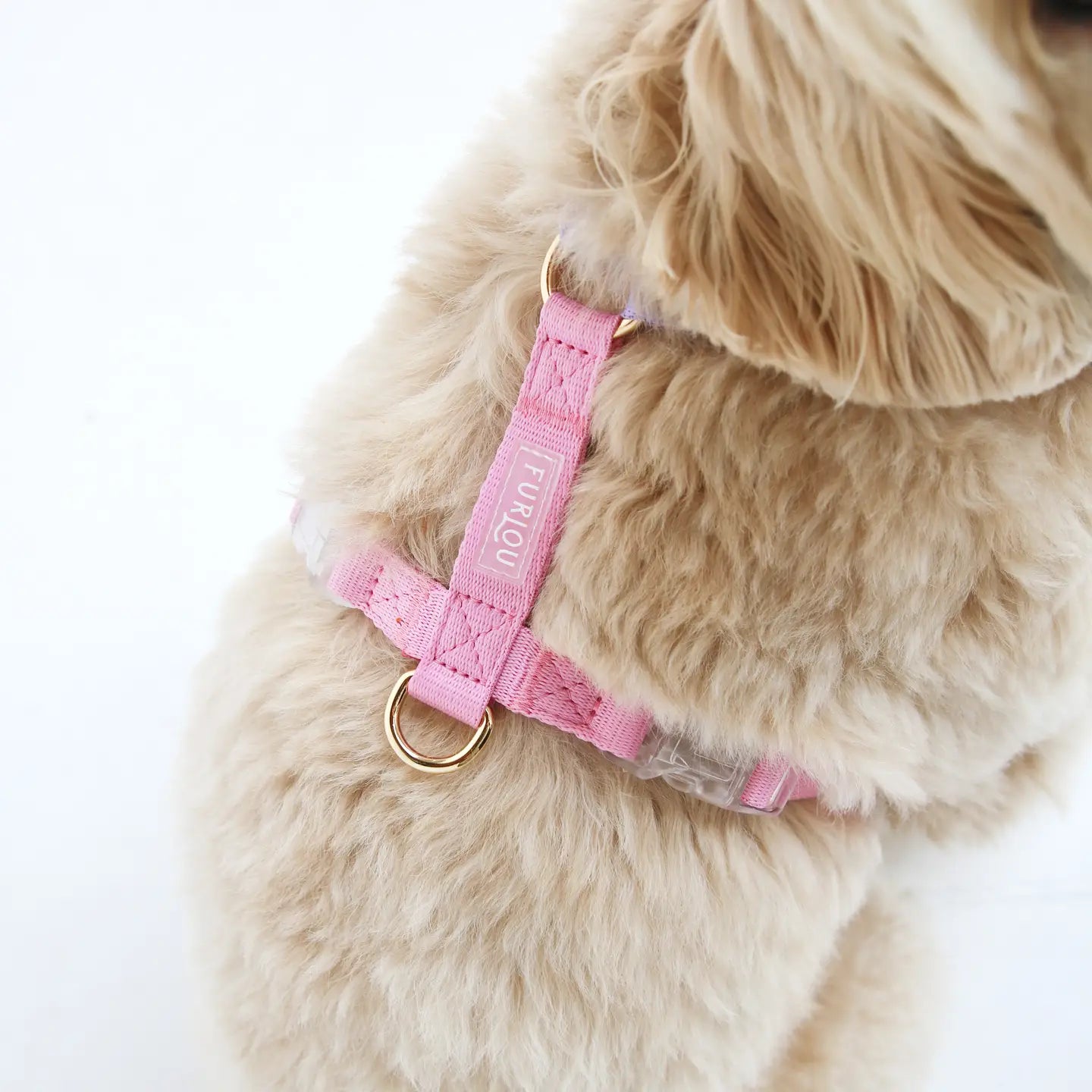Lavender + Pink – Furlou Strap Dog Harness