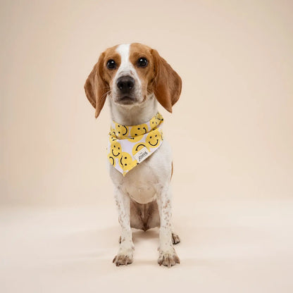 Smile Bandana