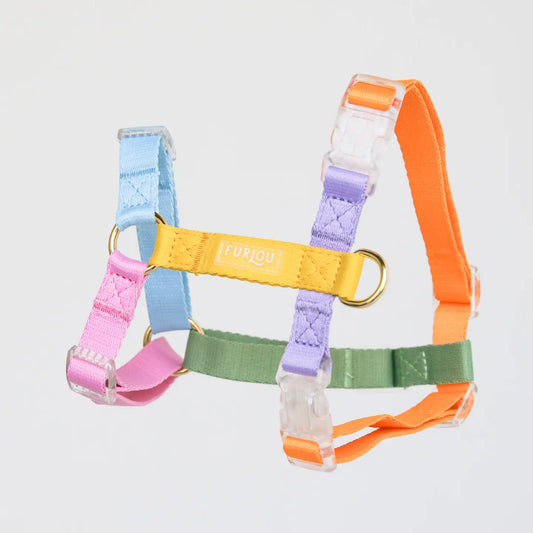 Rainbow – Furlou Dog Harness