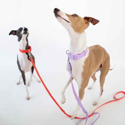 Adjustable Waterproof Leash