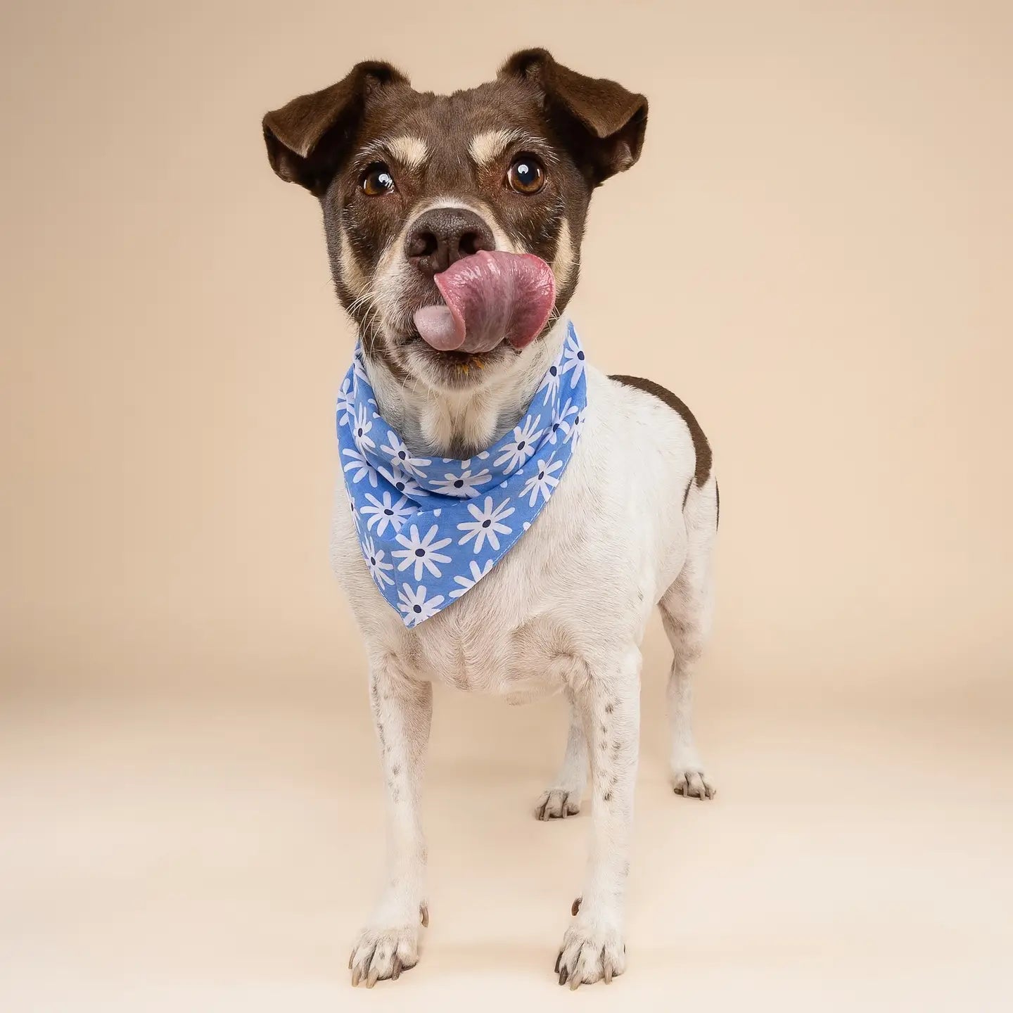 Lyla Flower Bandana