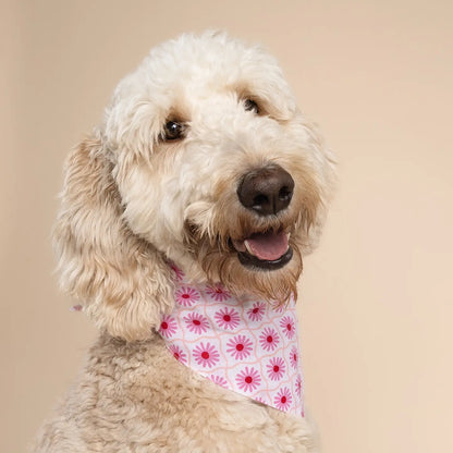 Poppy Pink Bandana