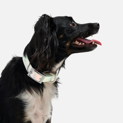 Wild One Collar – Holographic Lunar
