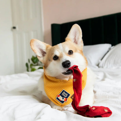 Sock Thief Iron Patch