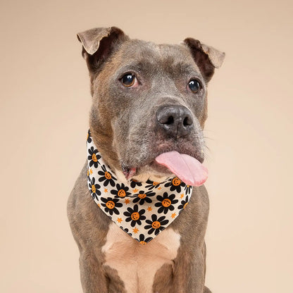 Pumpkin Petals Bandana