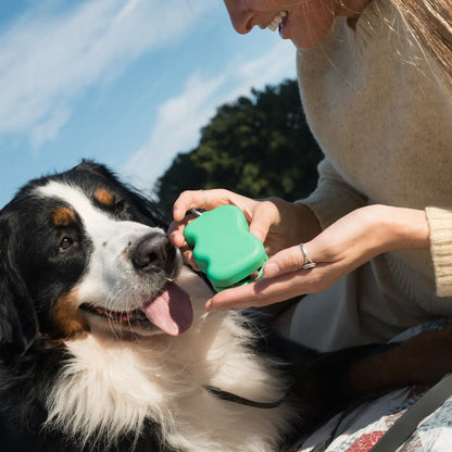 Silicone Dog Treat Dispenser