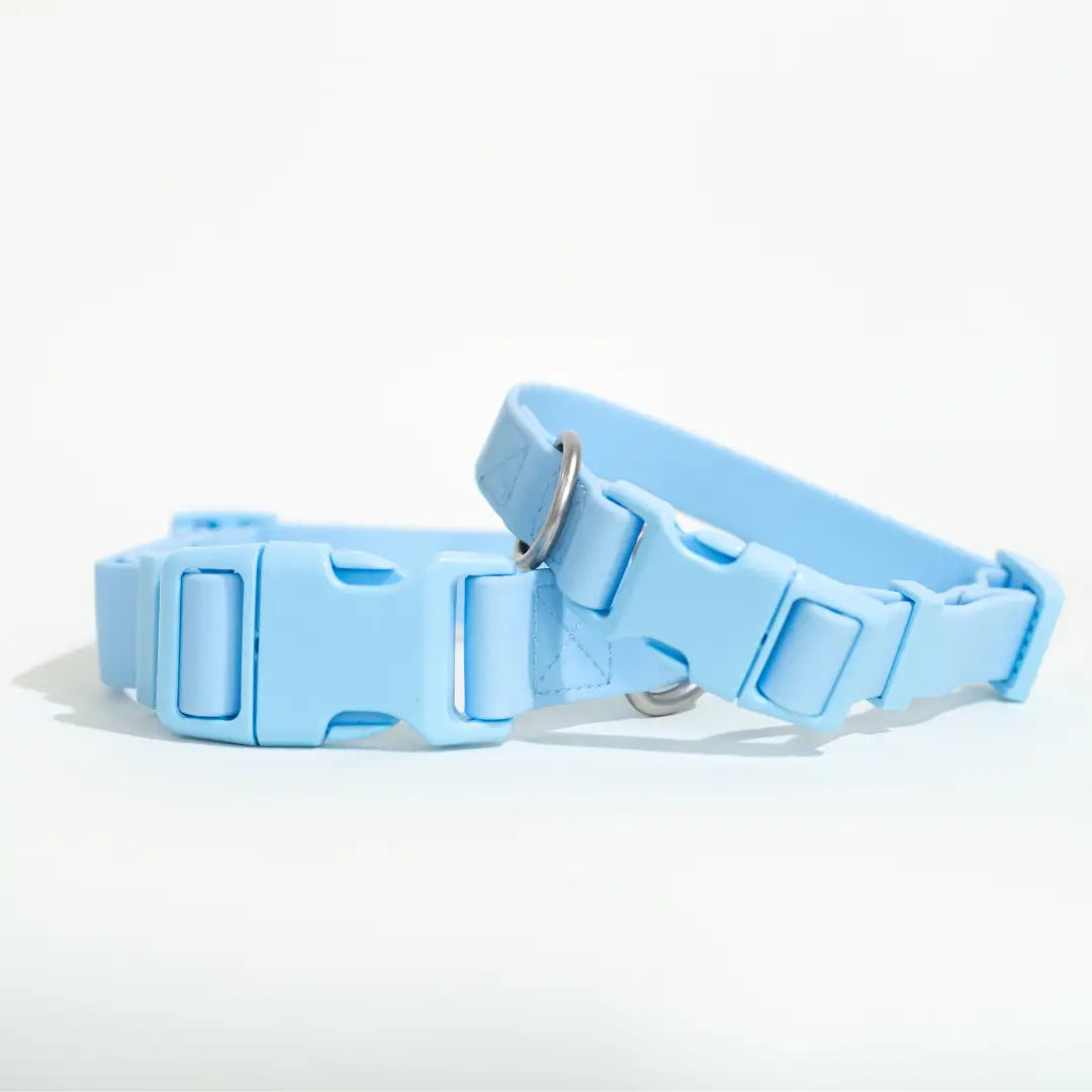 All Weather Dog Collar