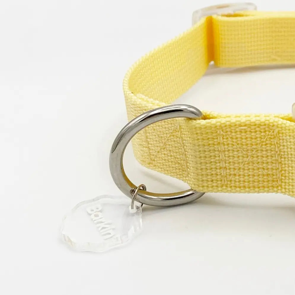 Barkin Butter Buckle Collar