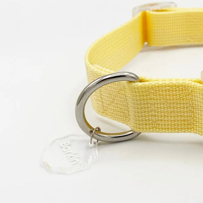Barkin Butter Buckle Collar