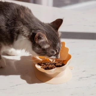 Whiskies Cat Bowl