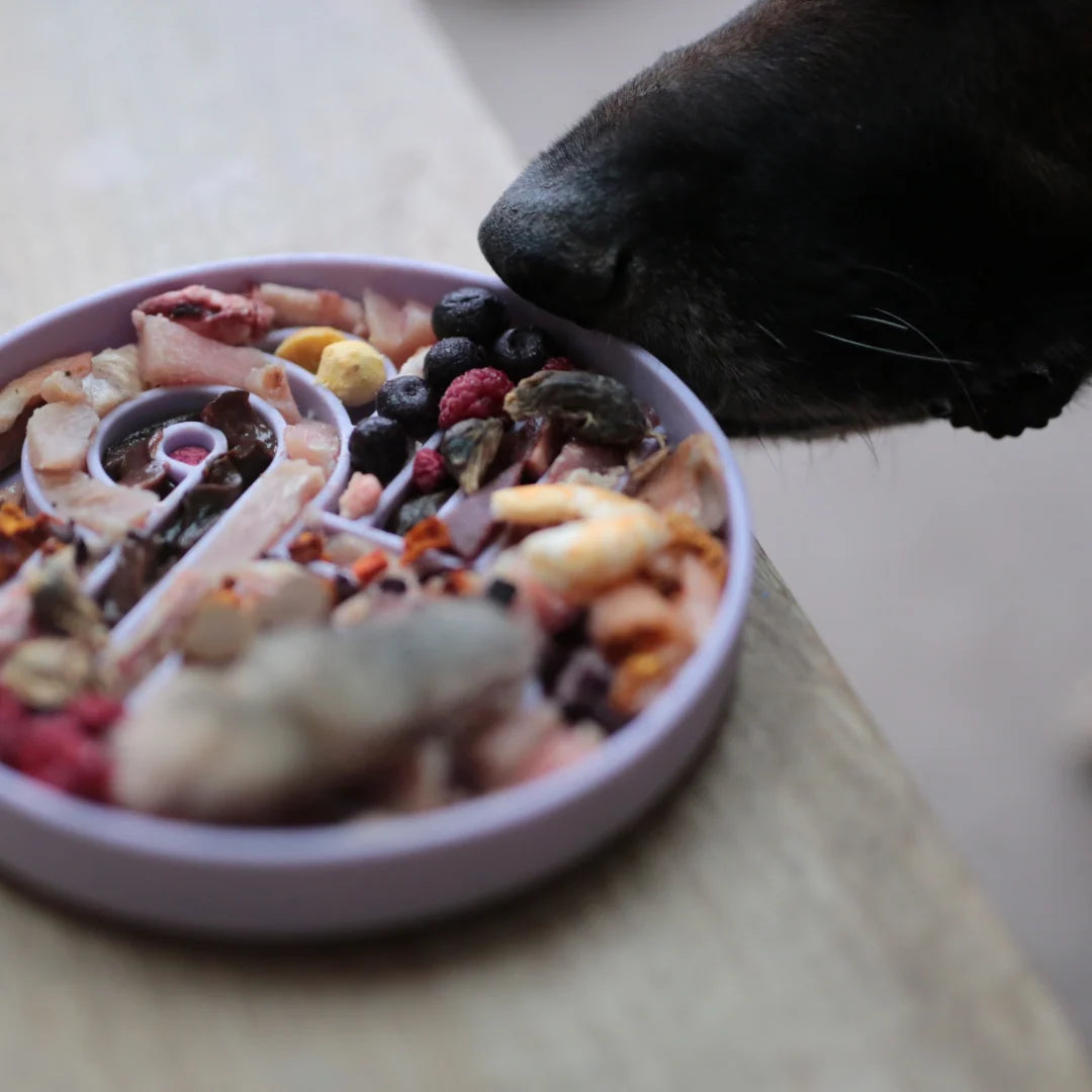 Zoomies Slow Feeder Bowl