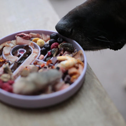 Zoomies Slow Feeder Bowl