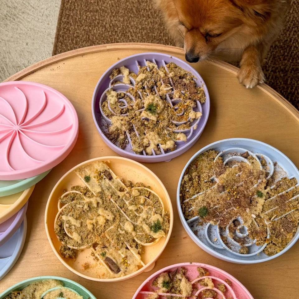 Zoomies Slow Feeder Bowl