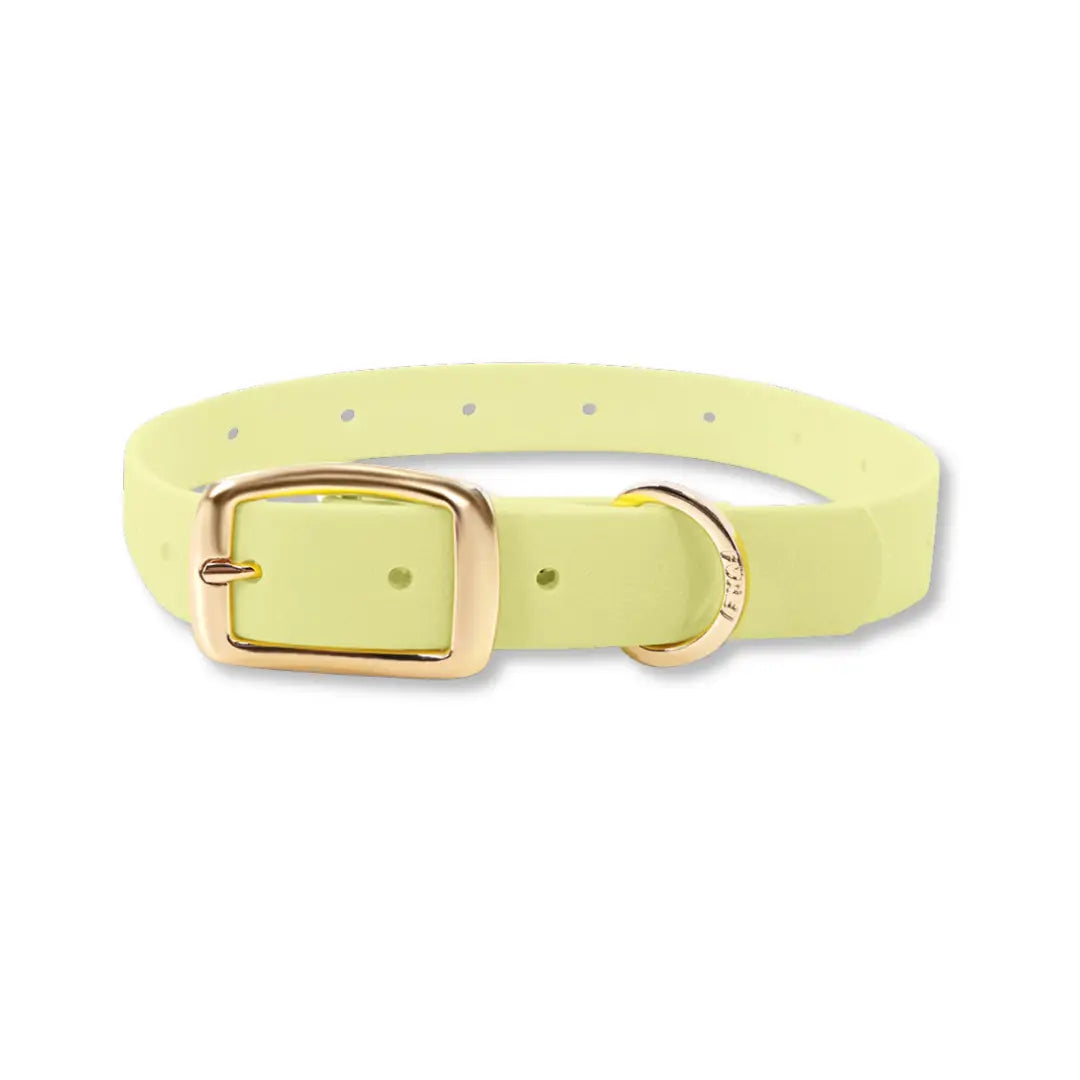 Furei Moodies Collars (Multiple colors availables)
