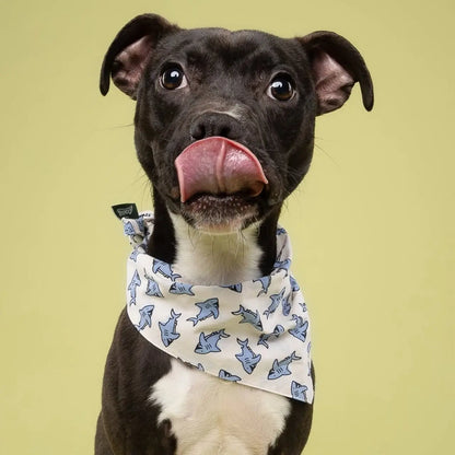 Jawz Dog Bandana