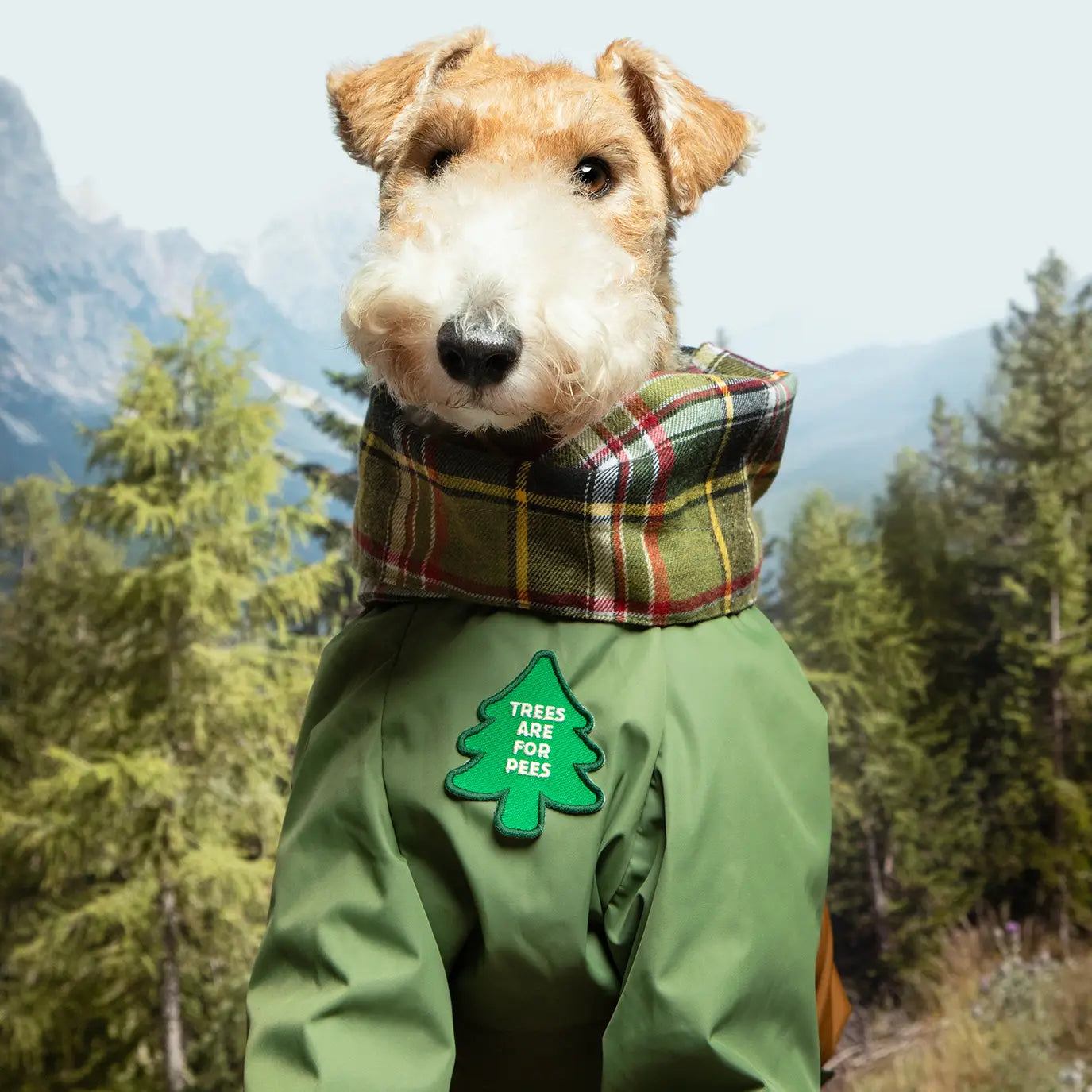 Trees Are for Pees Iron Patch