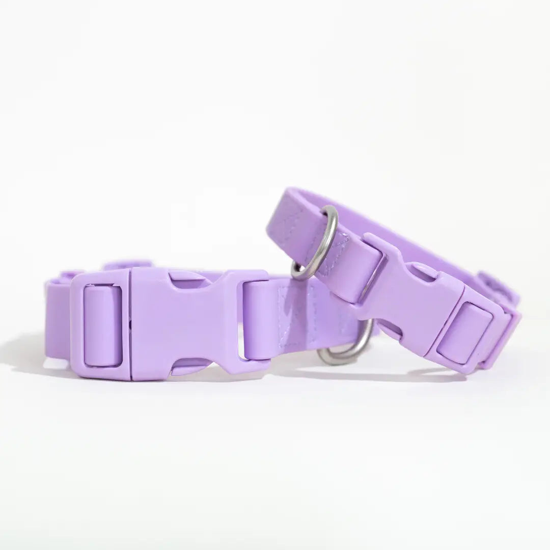 All Weather Dog Collar