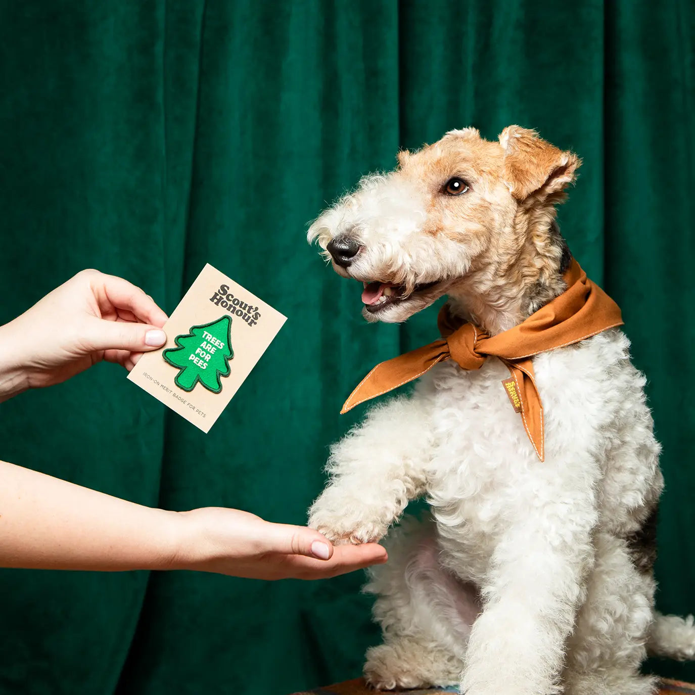 Trees Are for Pees Iron Patch