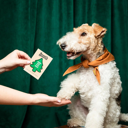 Trees Are for Pees Iron Patch