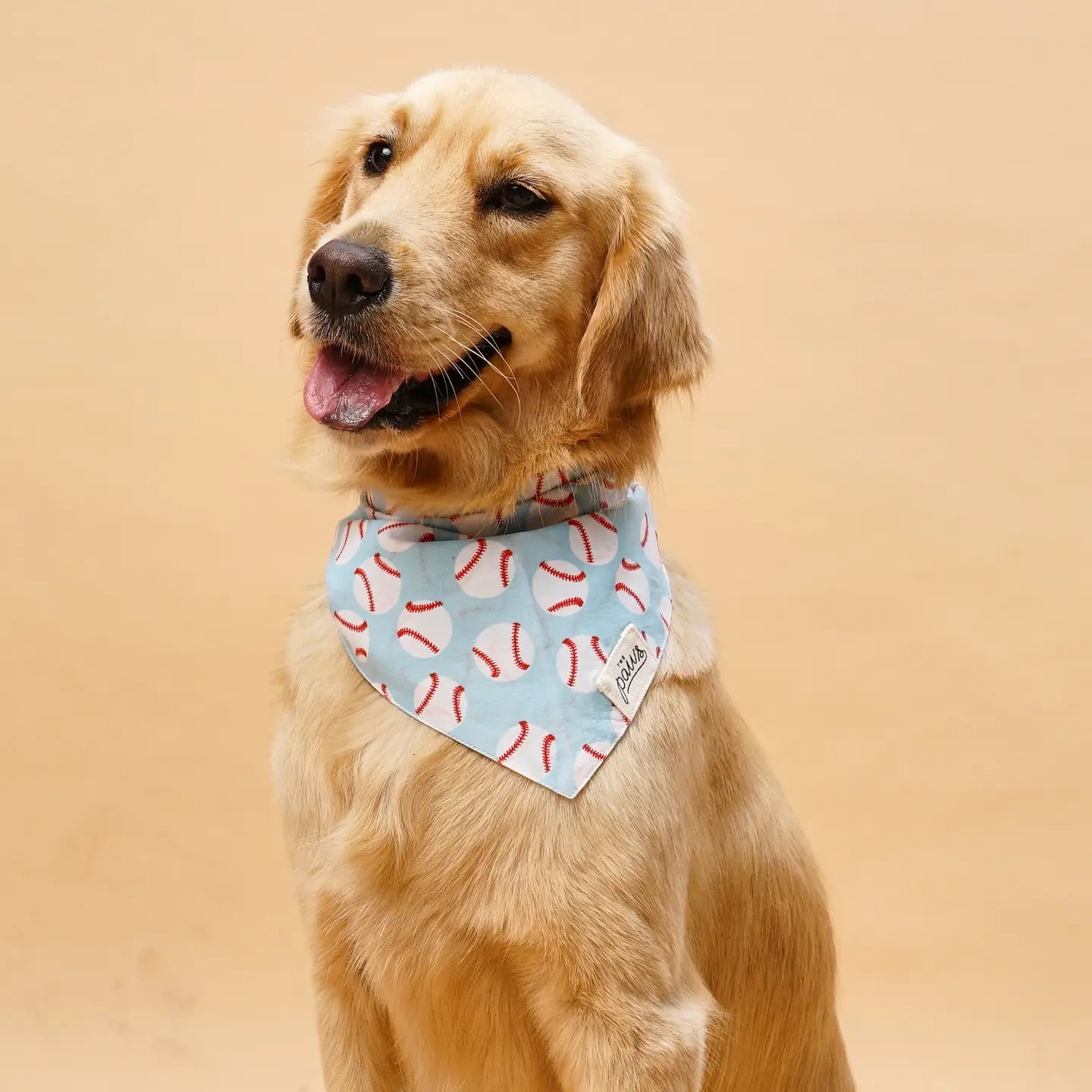 Home Run Bandana