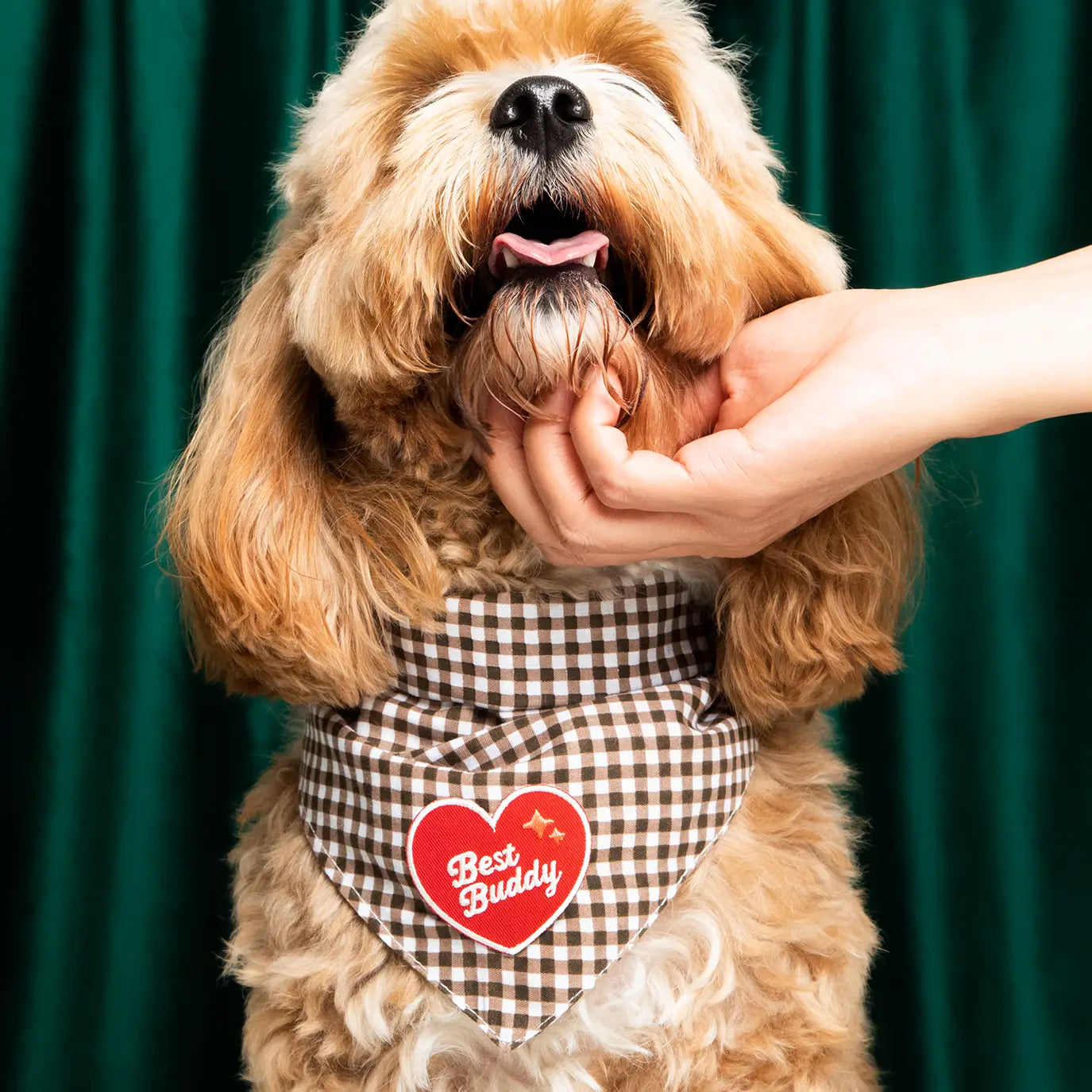 Best Buddy Iron Patch