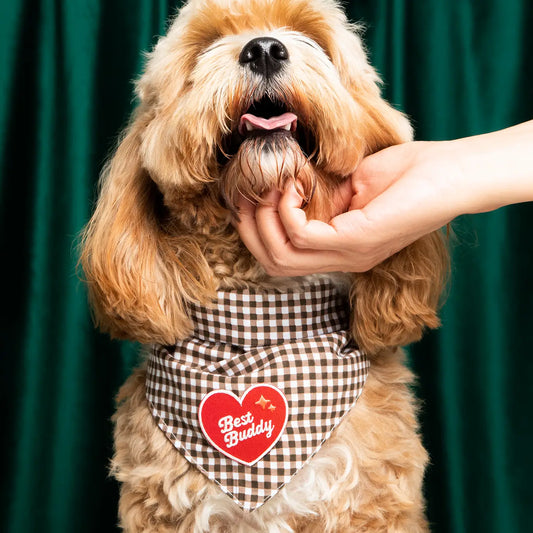 Best Buddy Iron Patch