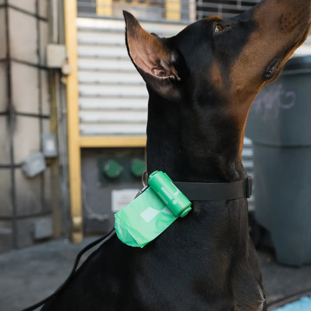 Premium Dog Waste Poop Bag Dispenser & Roll