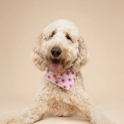 Poppy Pink Bandana